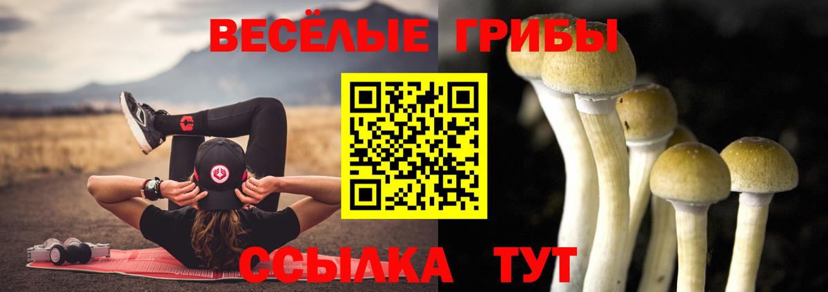 Псилоцибиновые грибы ЛСД  Галлюциногенные грибы GOLDEN TEACHER  Вход с VPN  Ангарск 